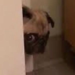 Meet your Posher, Carley